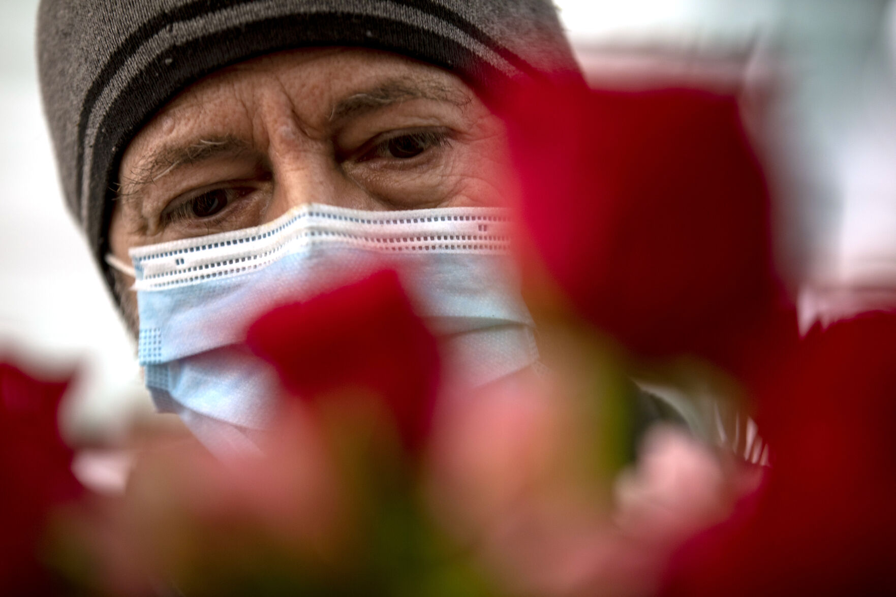021321-news-vdayroses 07.jpg